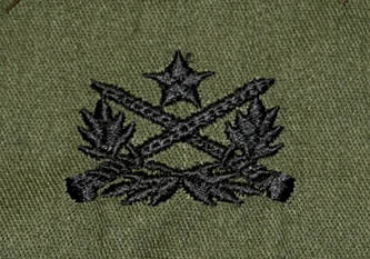 US Army rintamerkki, Vietnamese Ranger patch, subdued