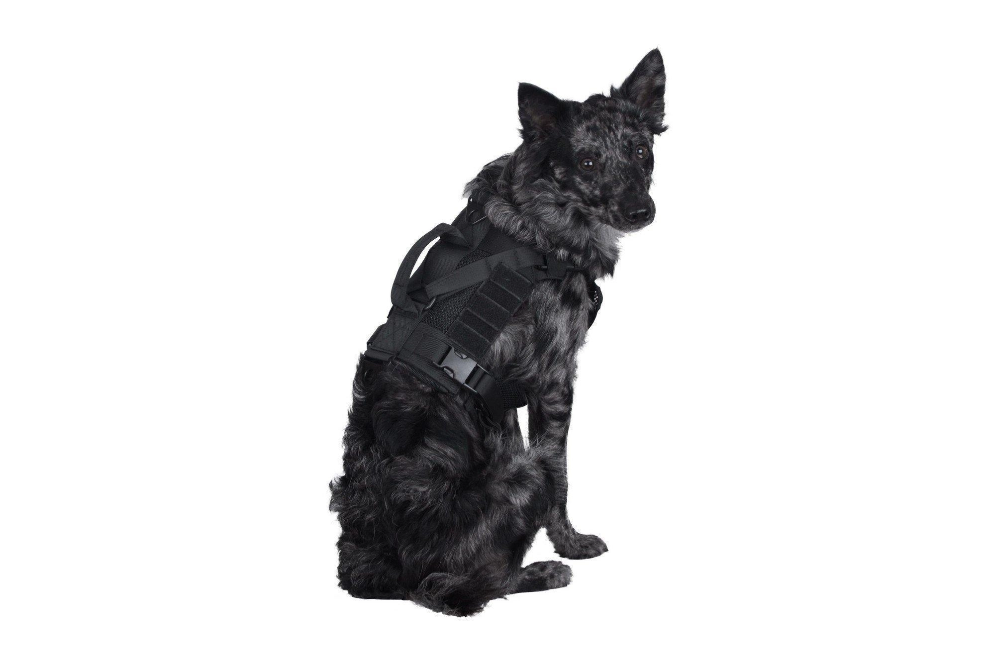 Primal Gear Ochia taktiset koiran valjaat - kojootinruskea